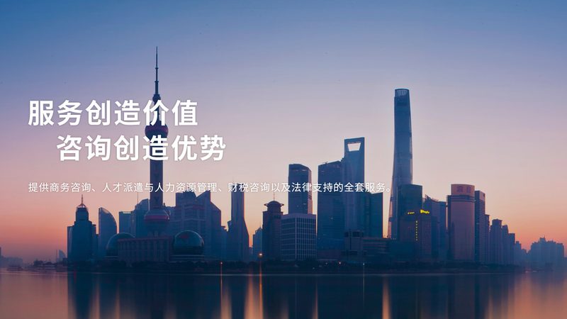 项目可行性研究报告：价格背后的价值考量