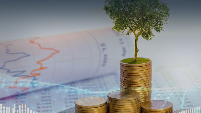 企业管理咨询公司服务内容：揭秘企业变革背后的专业力量